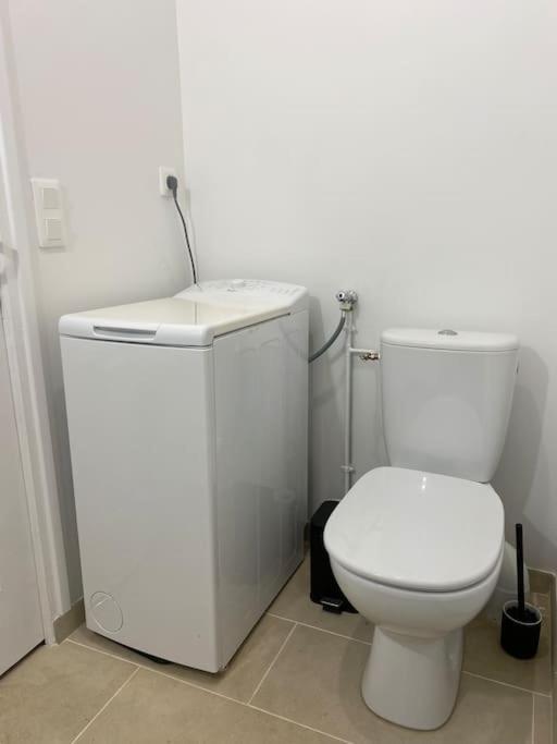 Appart Renove En Duplex Avec Terrasse Et Garage Bouleurs Kültér fotó